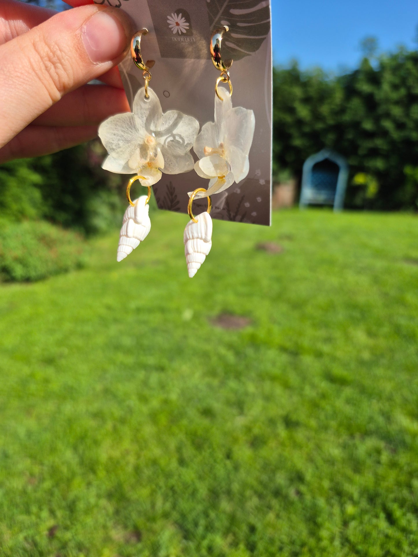 White phalaenopsis shell dangles