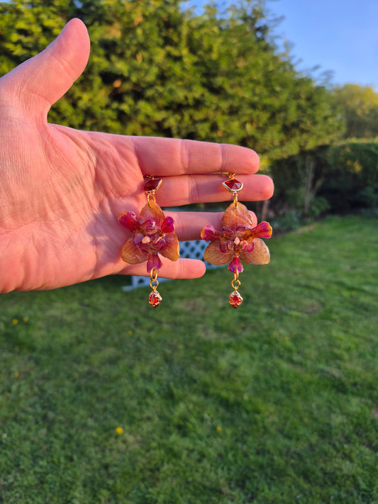 Real peloric orchid earrings
