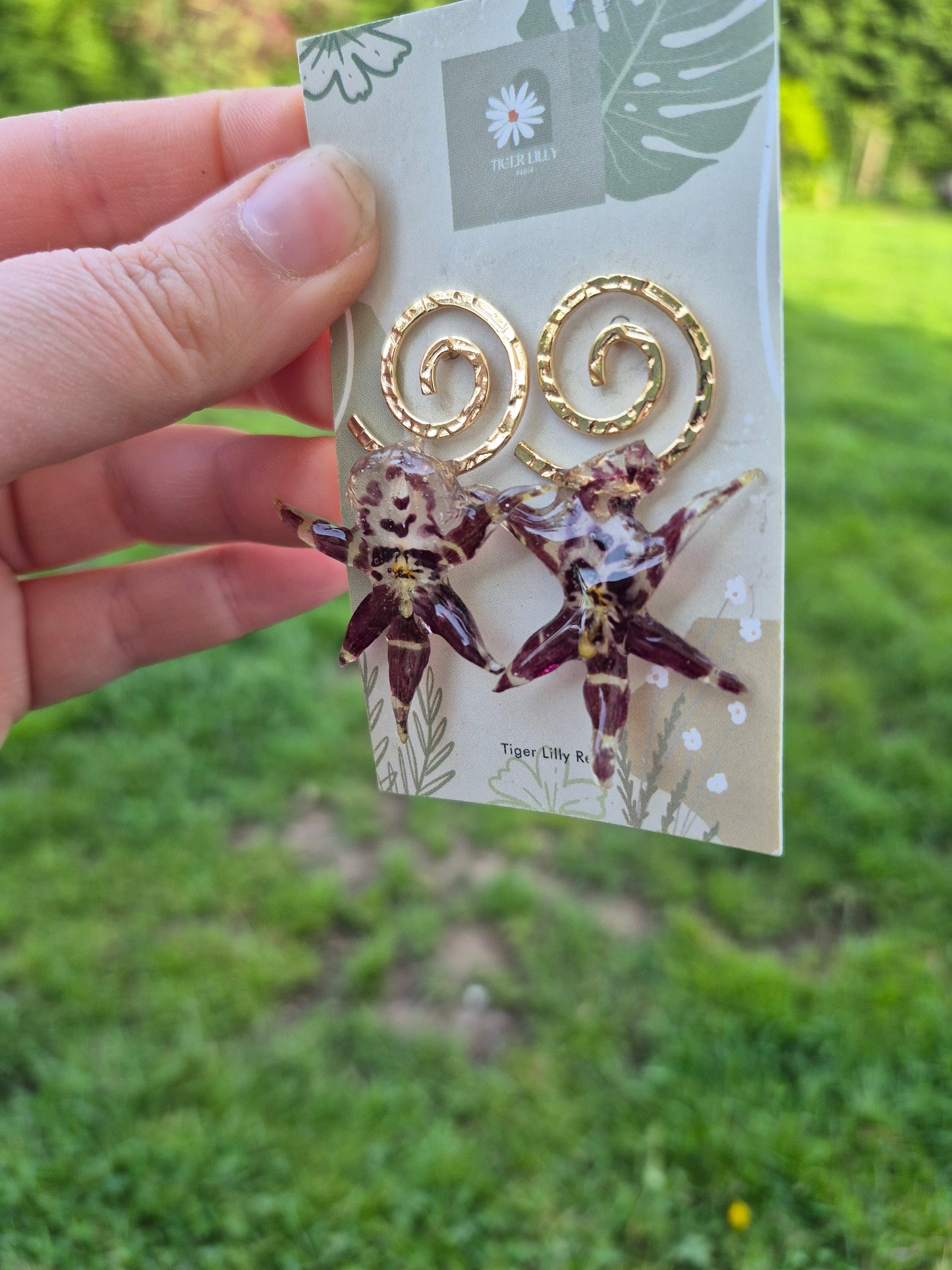 Brassia Orchid Earrings