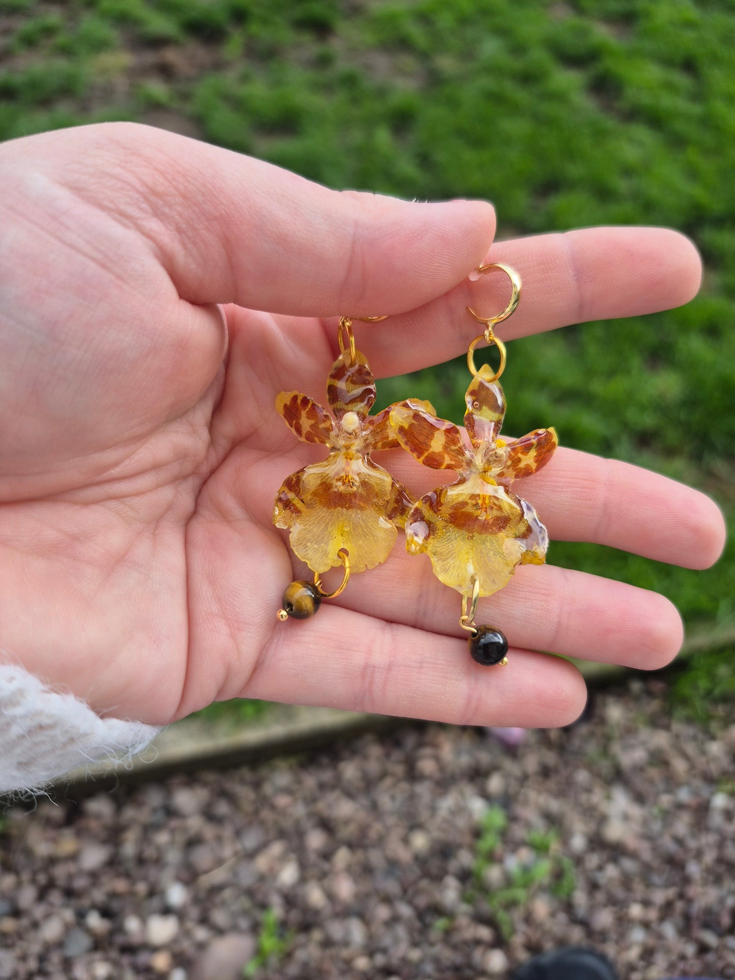Real oncidium orchid dangle earrings