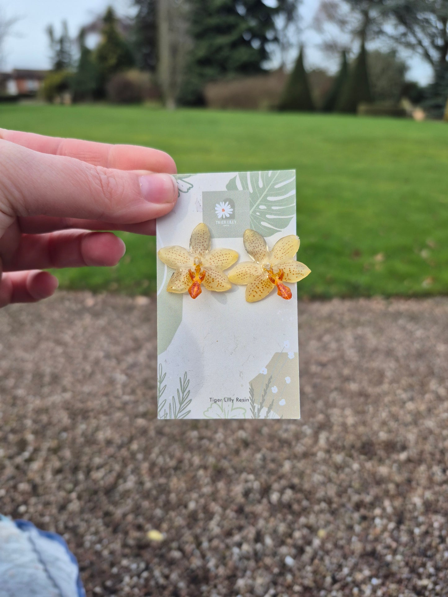 Phalaenopsis mini mark orchid stud earrings