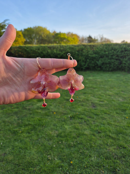 Real peach phalaenopsis orchid earrings