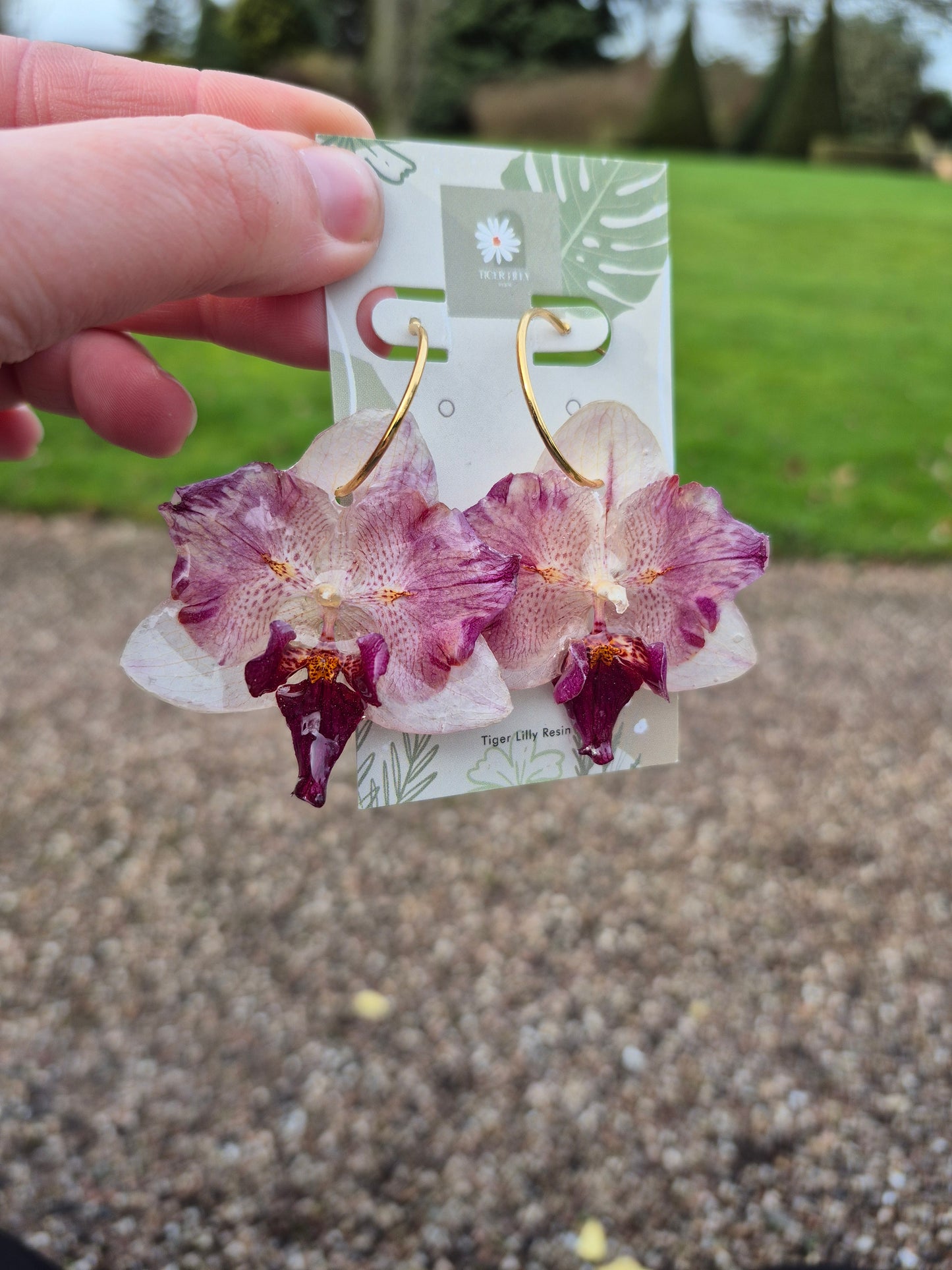 Rare peloric orchids resin earrings