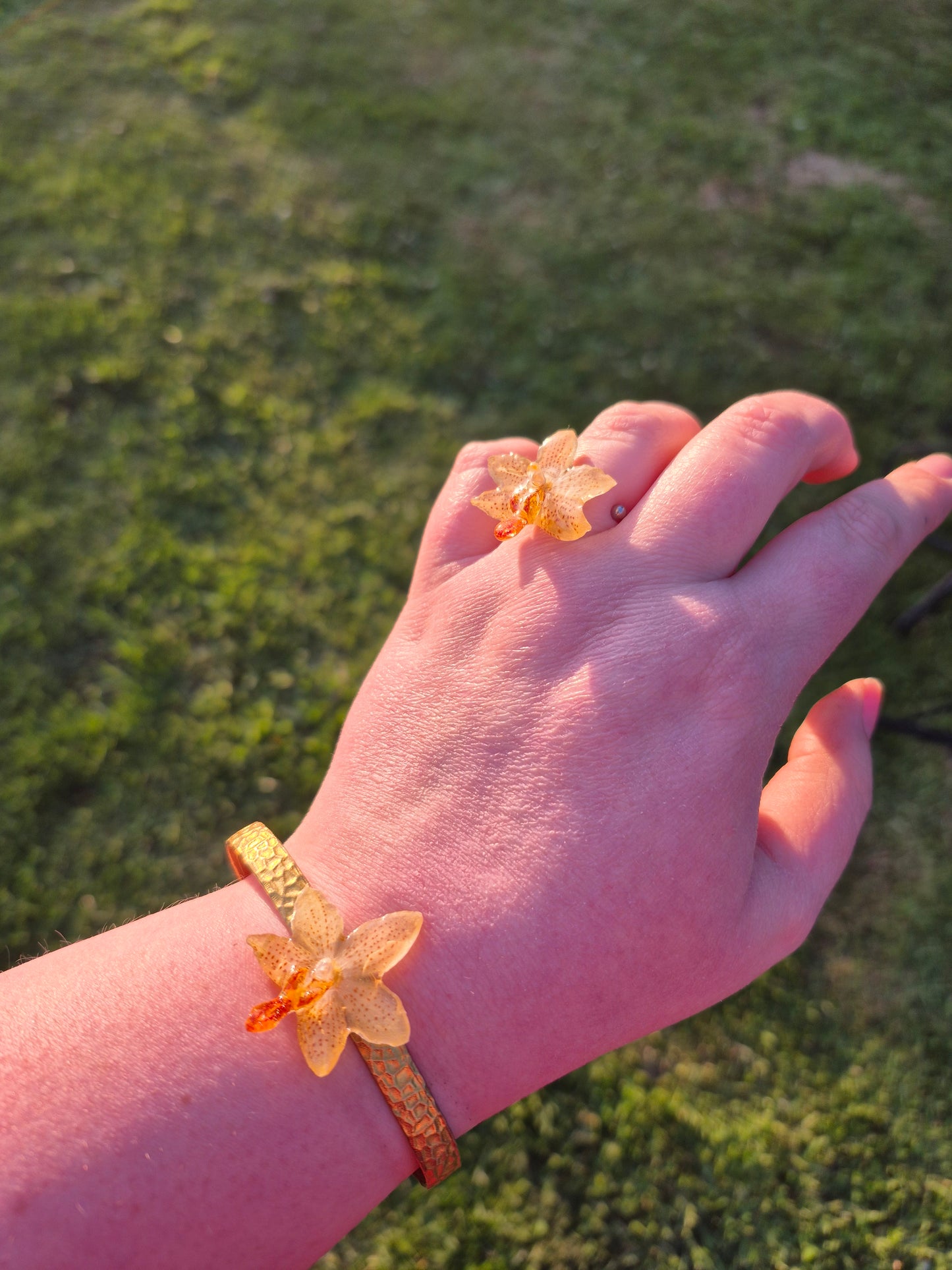 Phalaenopsis mini mark orchid ring