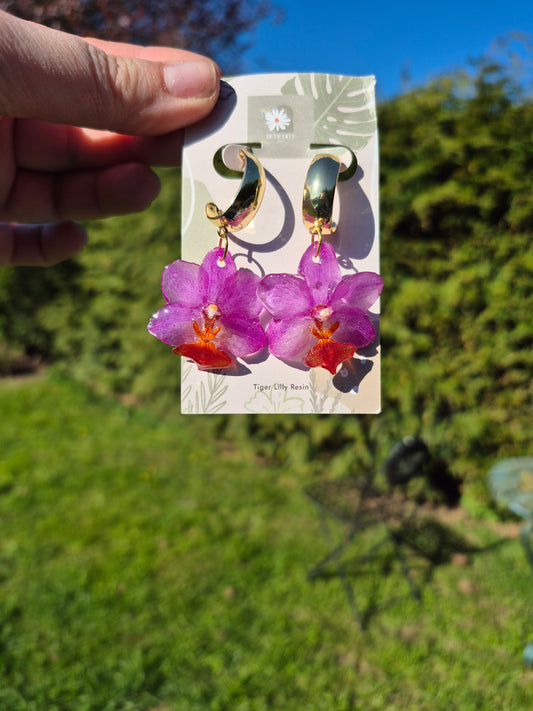 Pink and red lipped phalaenopsis gold hoop earrings