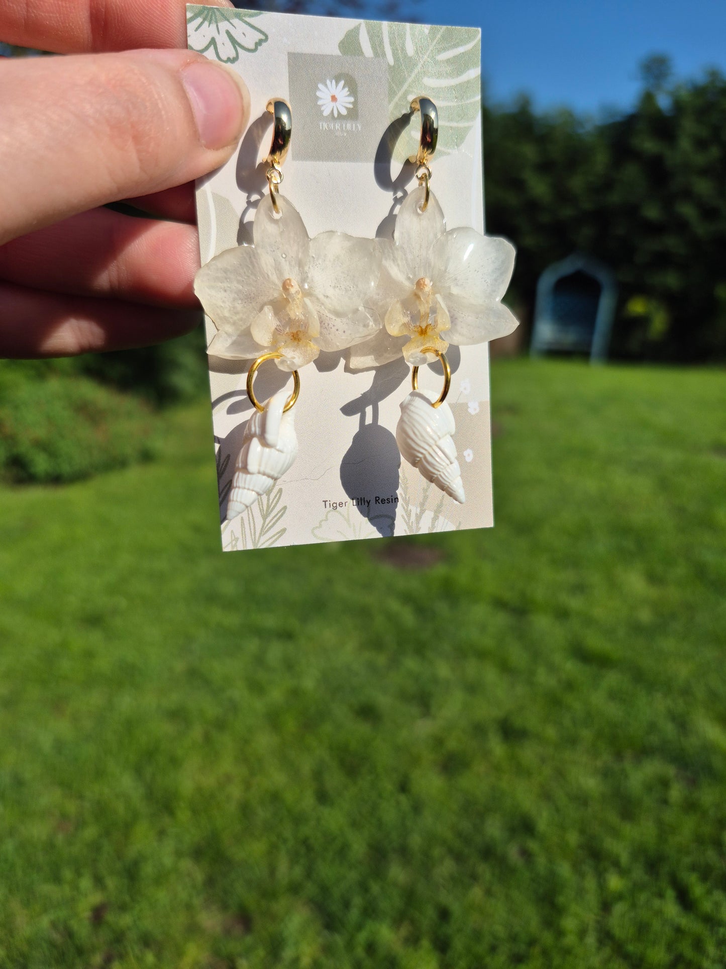White phalaenopsis shell dangles
