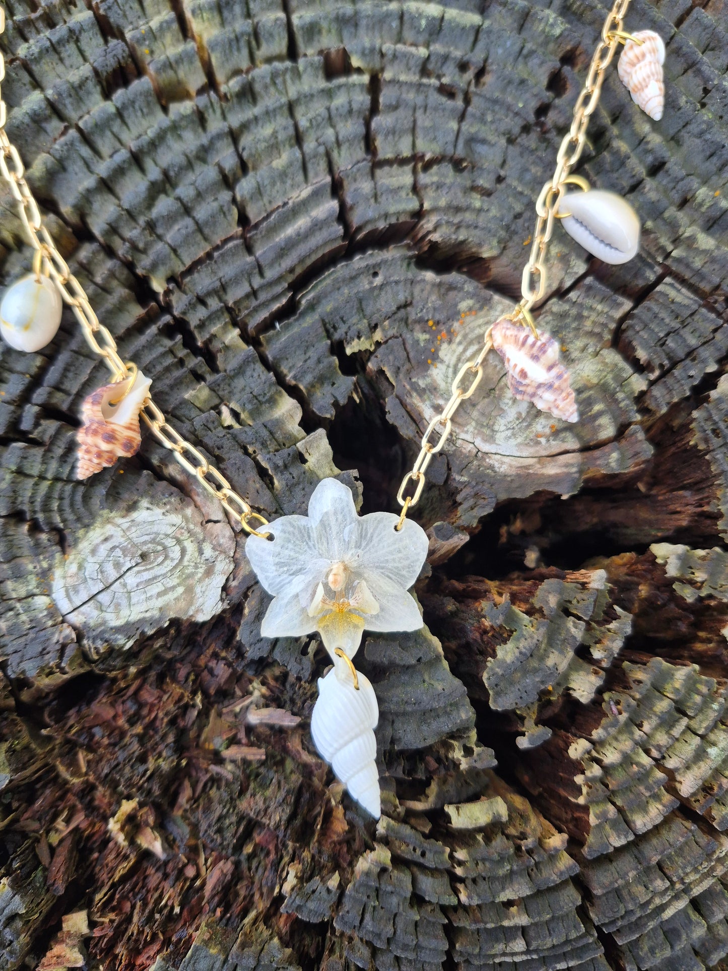 Small phalaenopsis orchid sea shell necklace