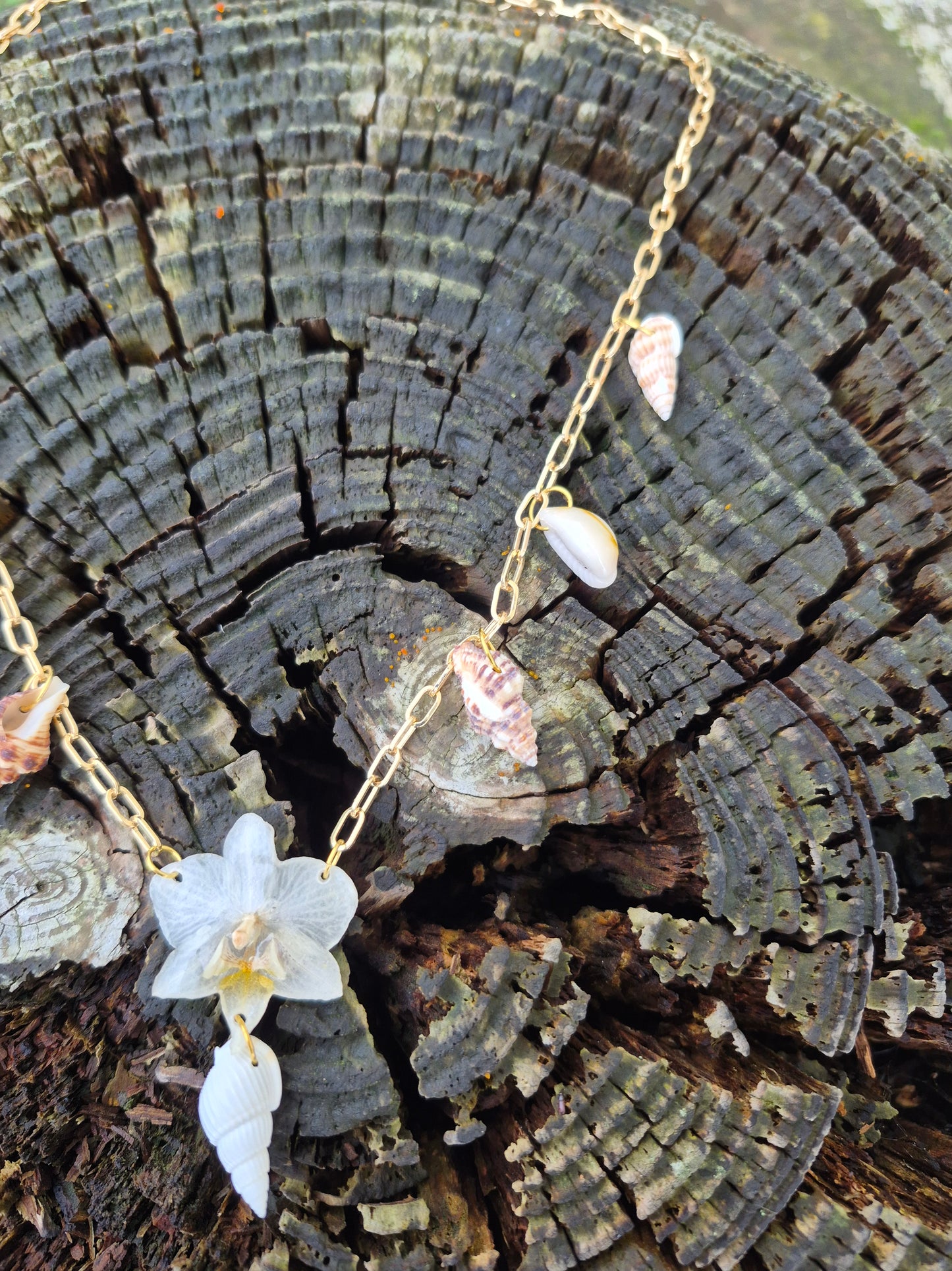 Small phalaenopsis orchid sea shell necklace