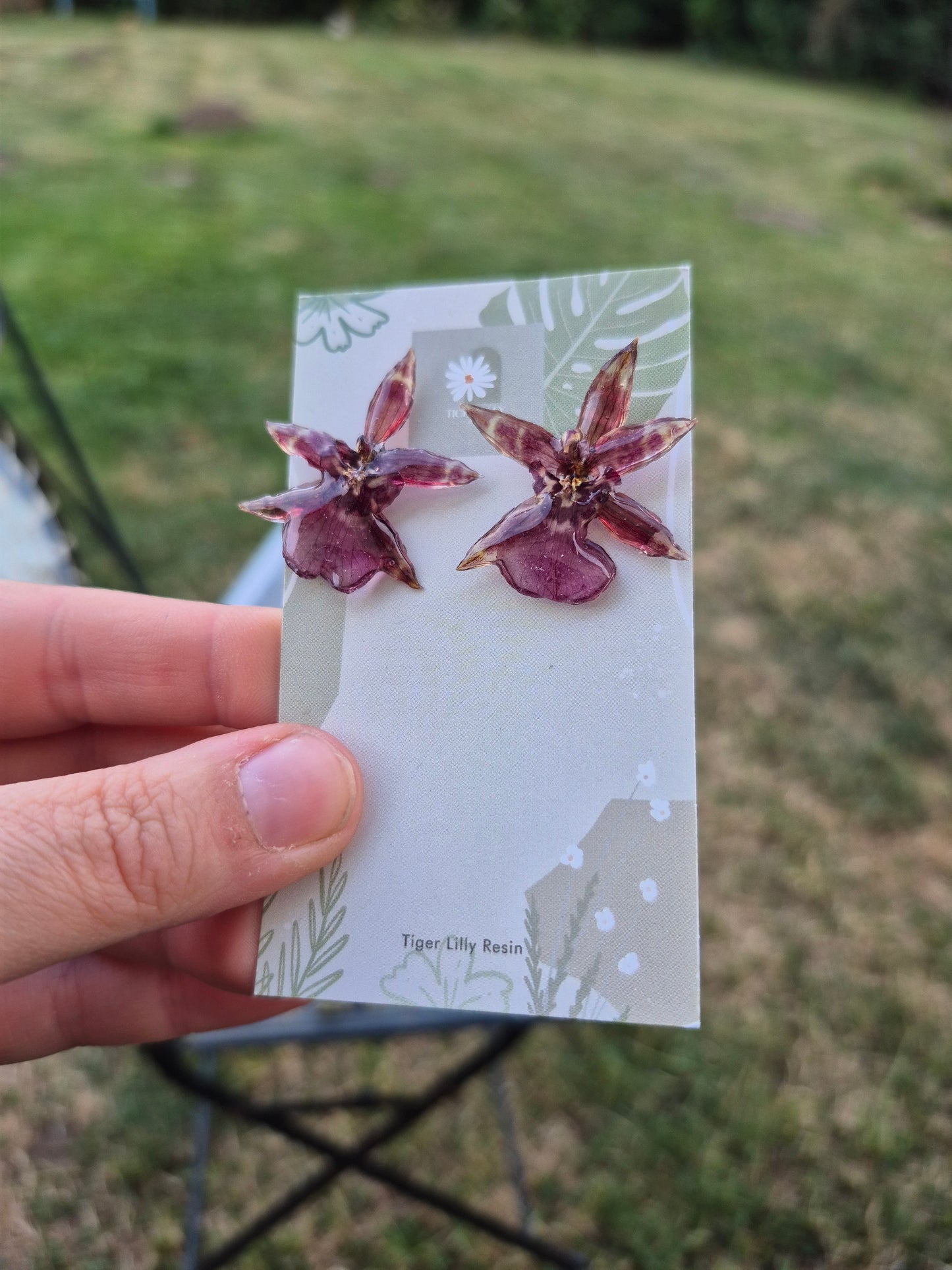 Real oncidium stud earrings