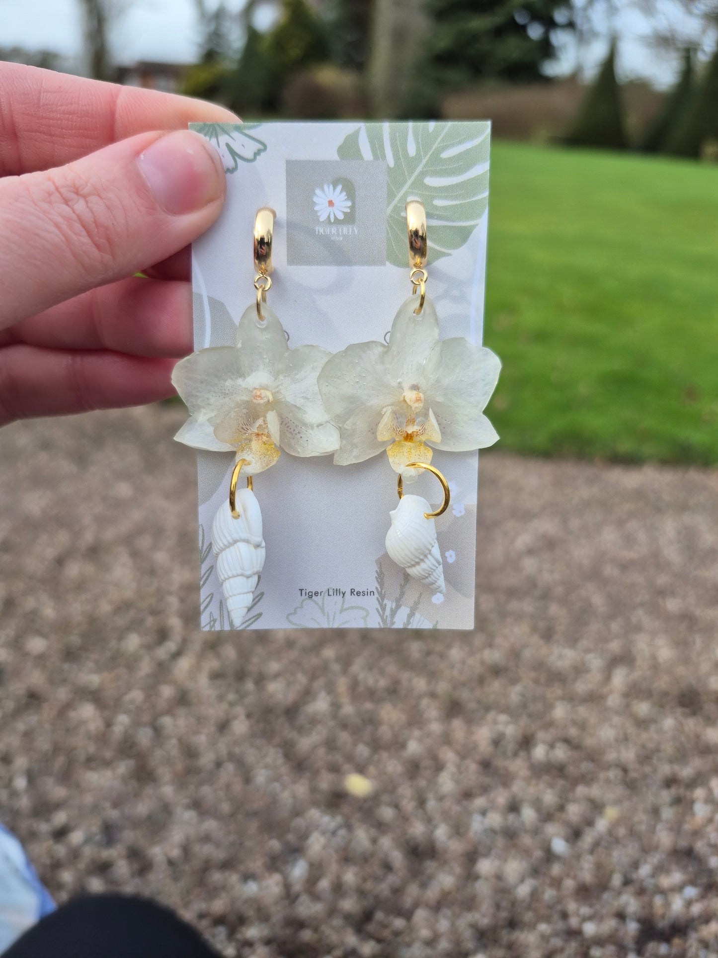 White phalaenopsis shell dangles