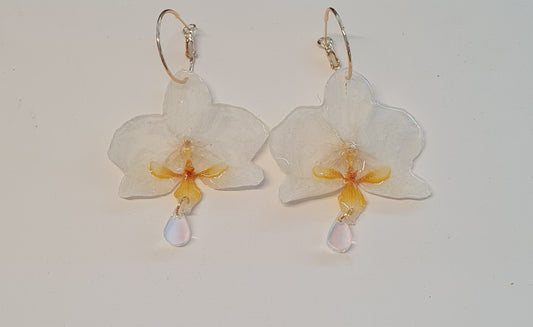 white Phalaenopsis orchid hoops