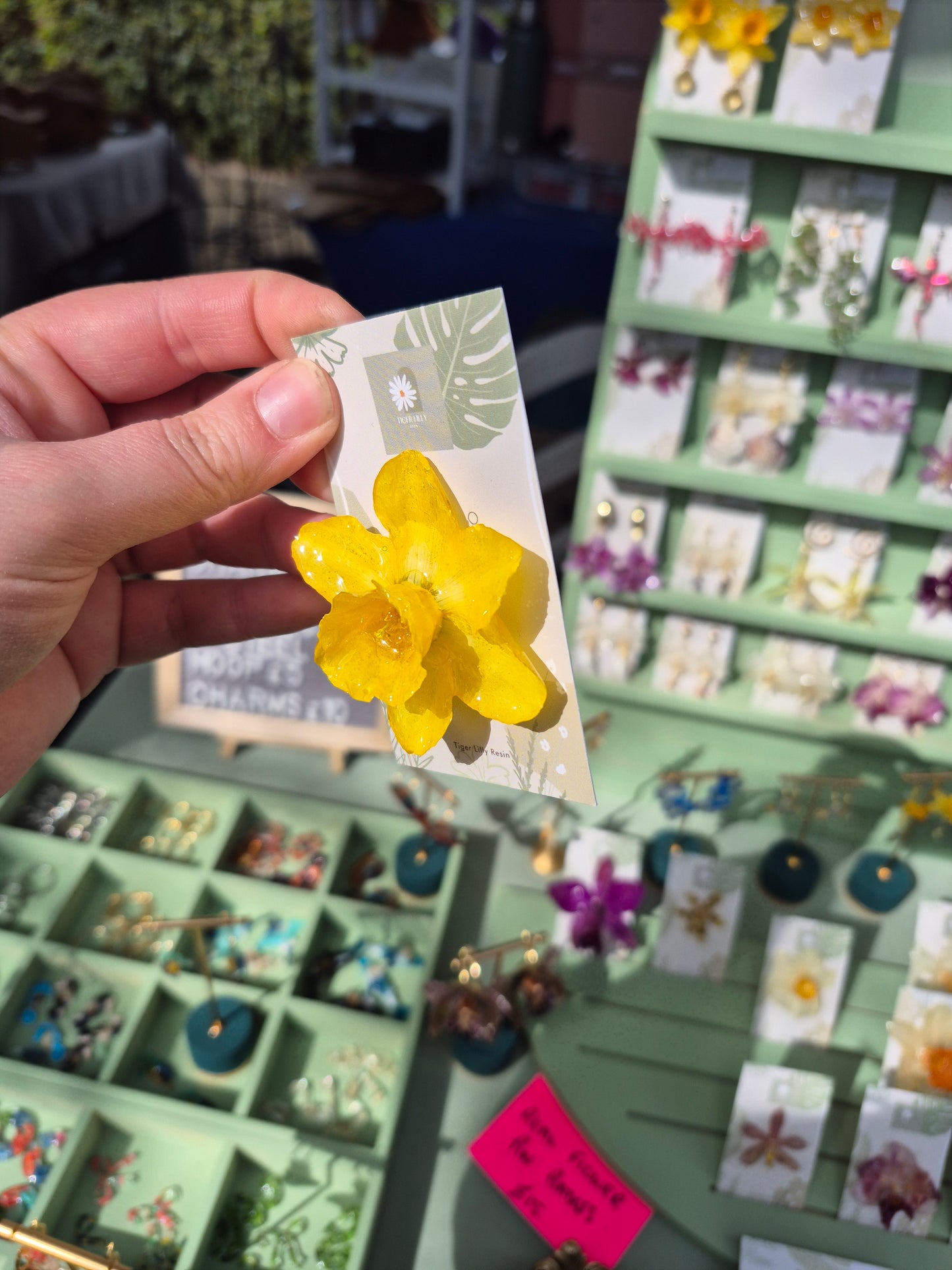 Real daffodil pin badge