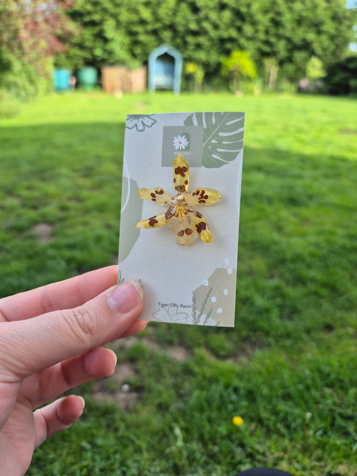 Real Oncidium orchid pin badge