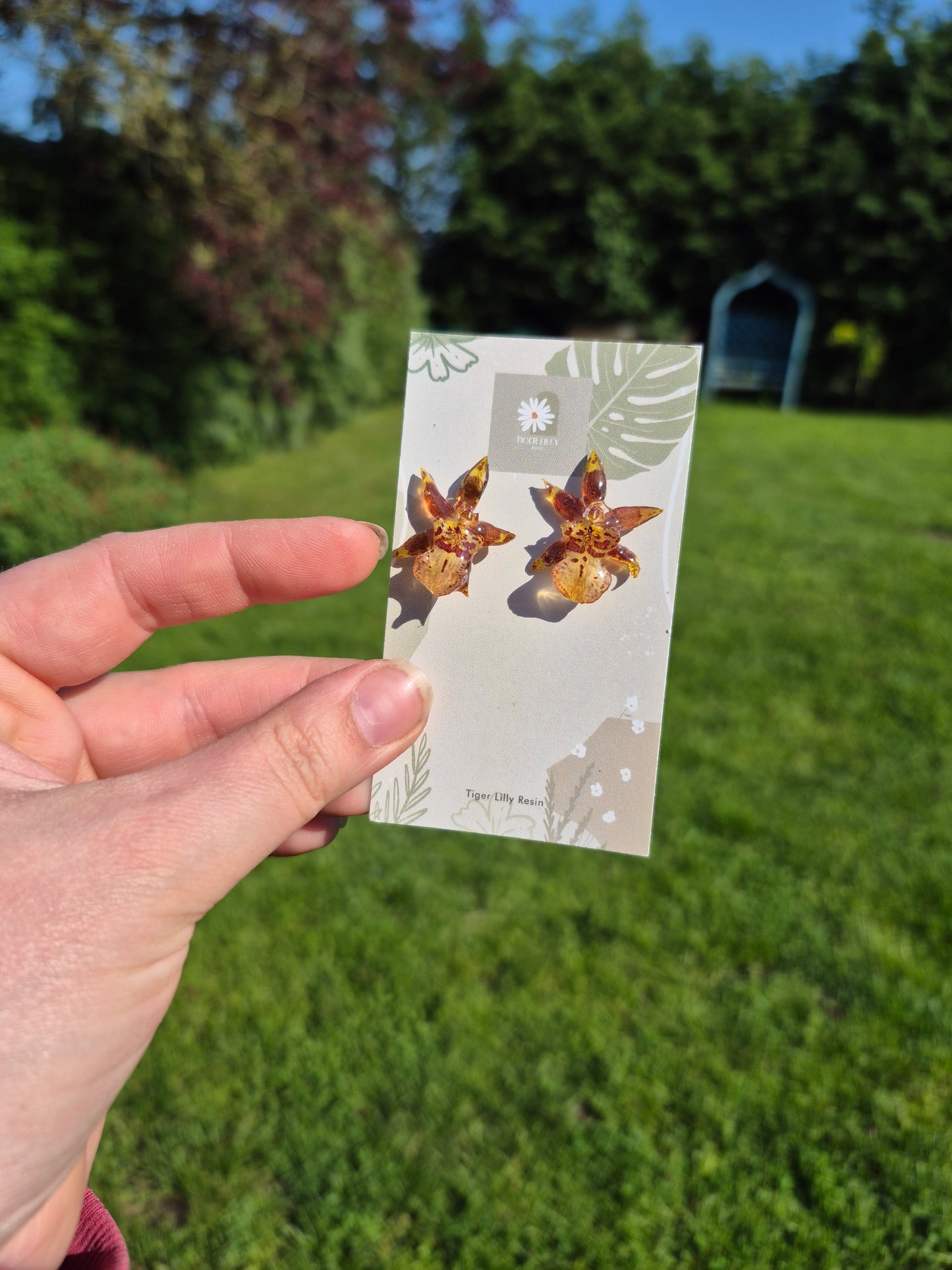 Oncidium stud earrings