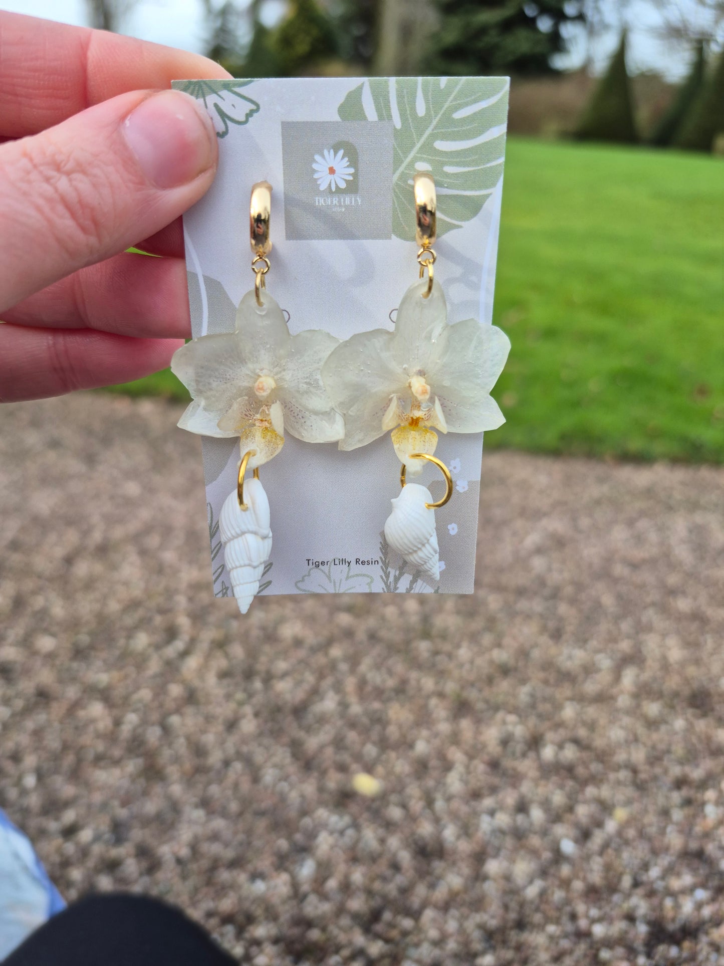White phalaenopsis shell dangles