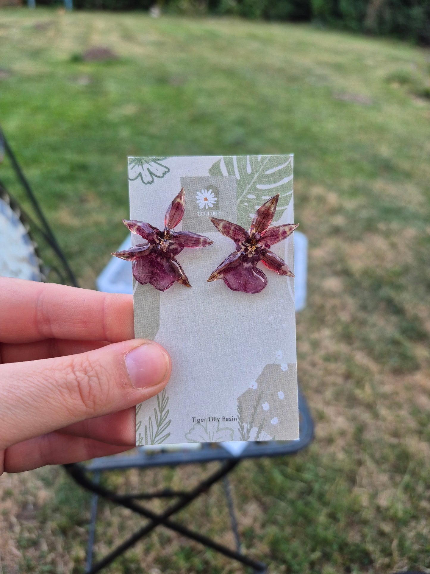 Real oncidium stud earrings