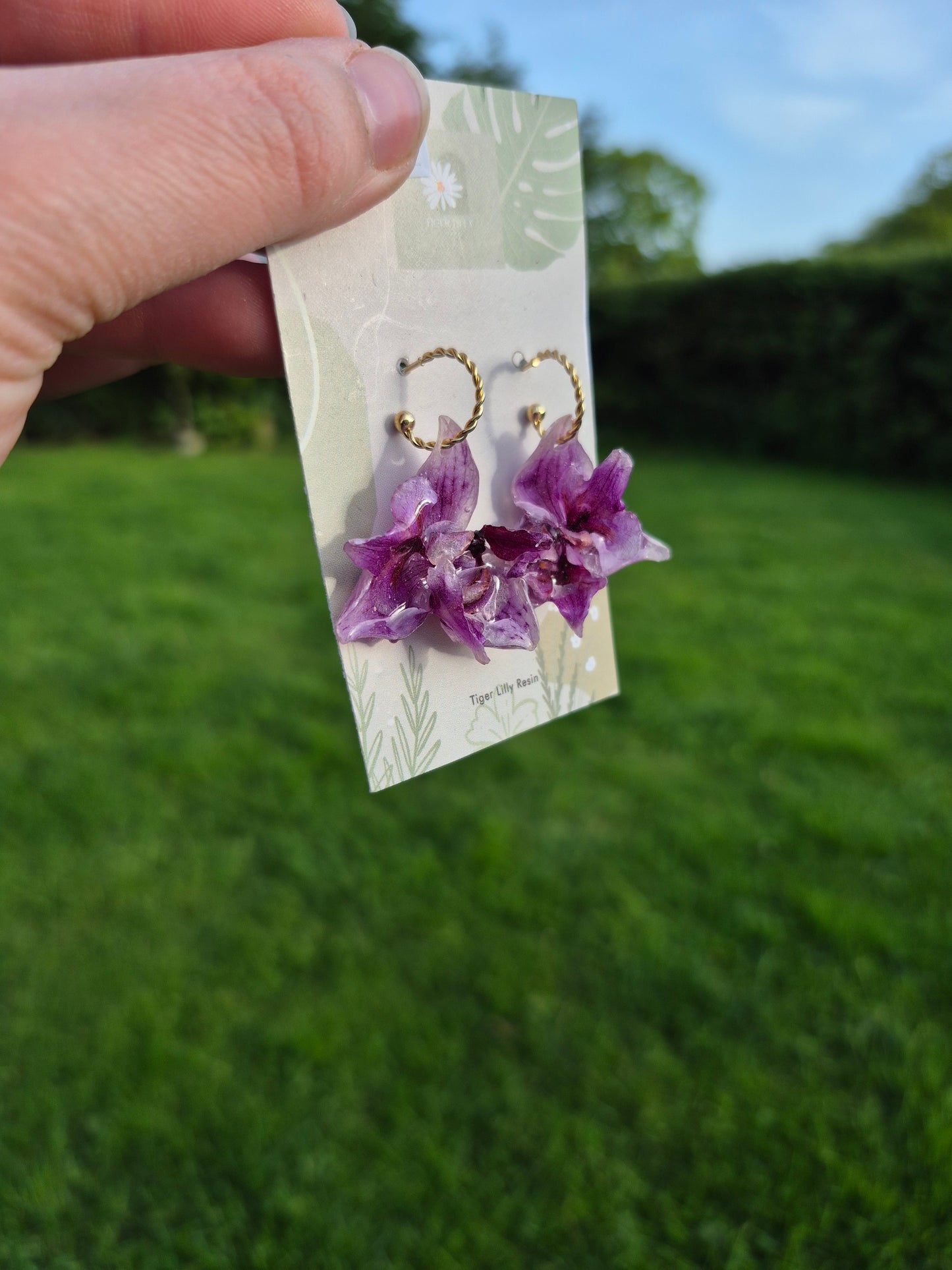 Real small pink peloric orchid earrings