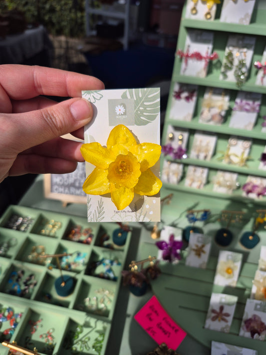 Real daffodil pin badge