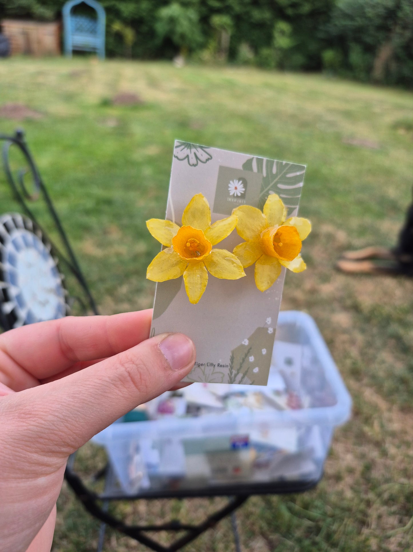 Real daffodil studs