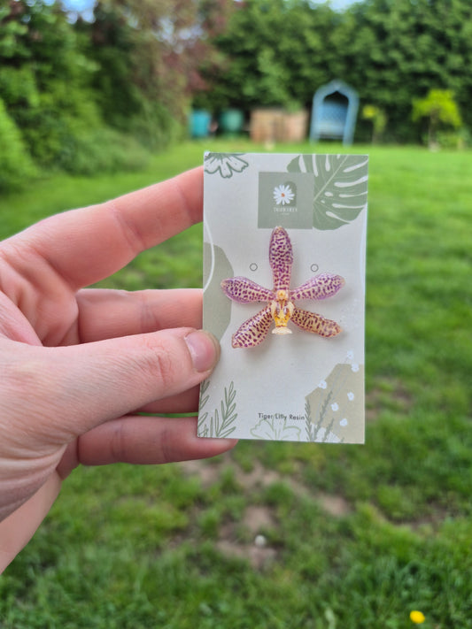 Real phalaenopsis spider orchid pin badge