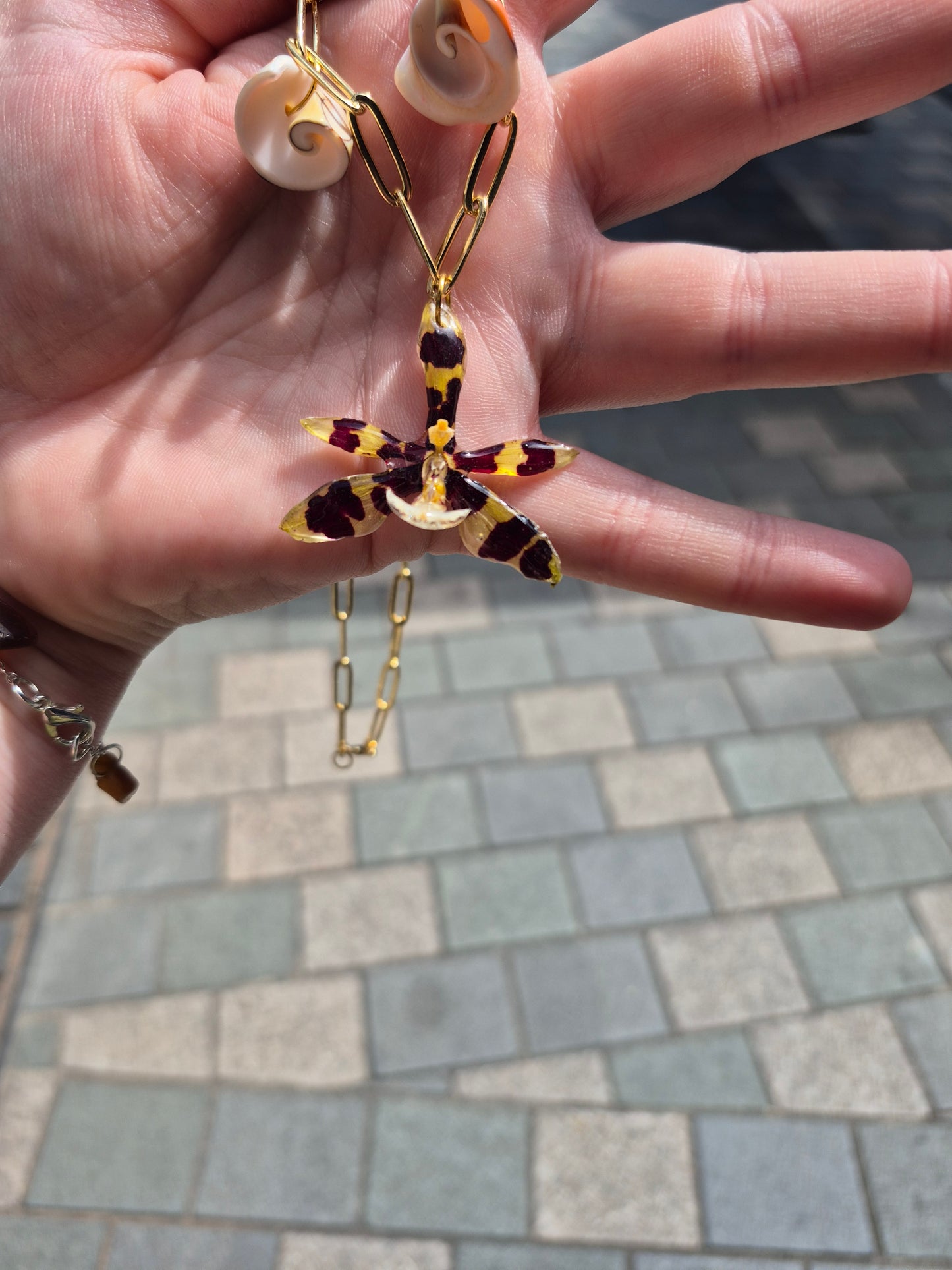 Small phalaenopsis orchid sea shell necklace