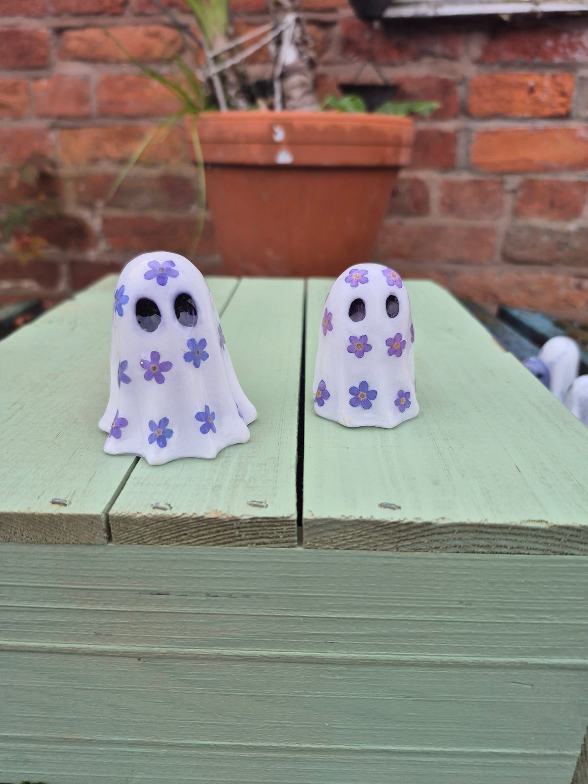 Forget me not ghosts