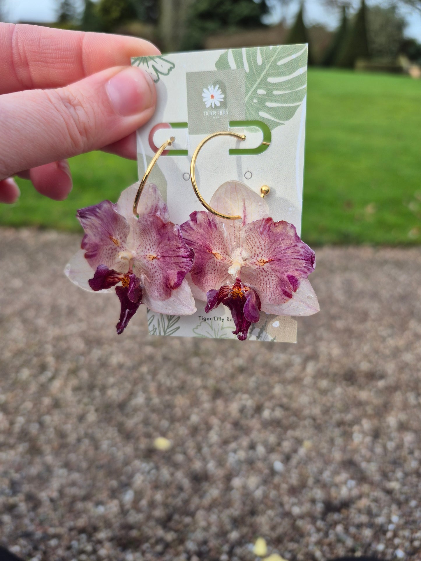 Rare peloric orchids resin earrings