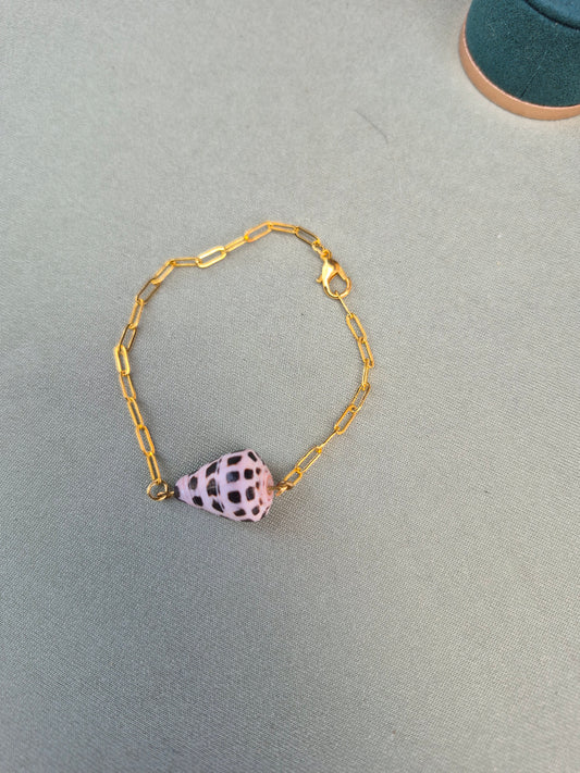 Hebrew cone shell bracelet